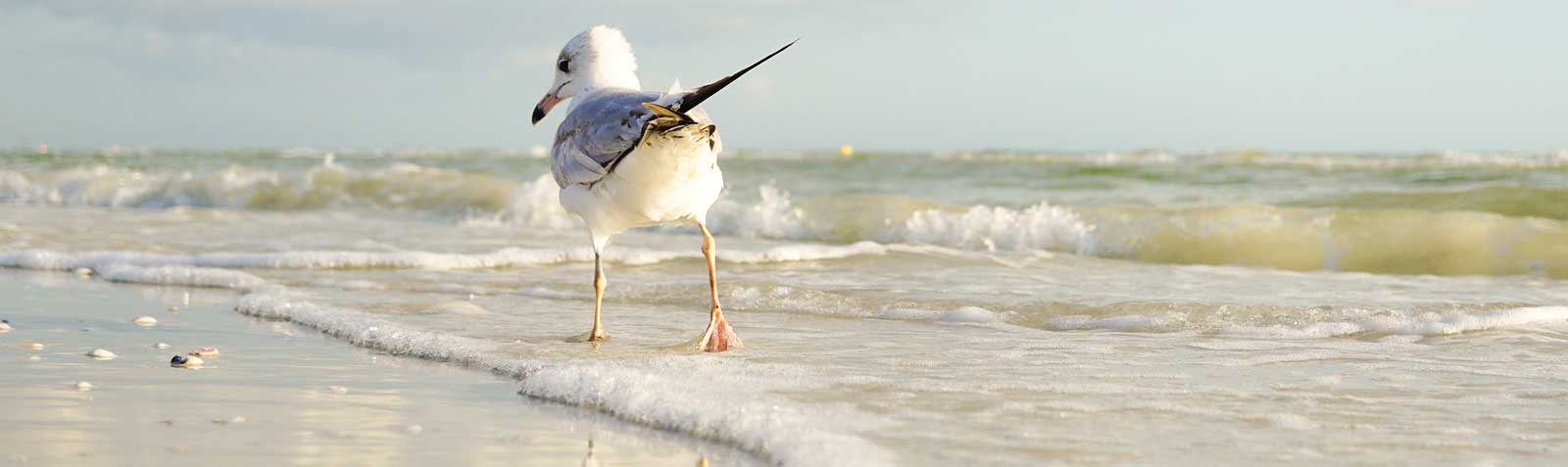 You are currently viewing בילוי האמן